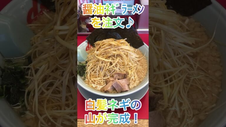 【ラーメン山岡家】人気ベース醤油に白髪ネギ×4の限界突破仕様の一杯が最高に美味かった✨【岐阜 ラーメン】