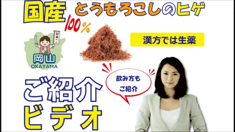 国産 トウモロコシのヒゲ 100% 南蛮毛