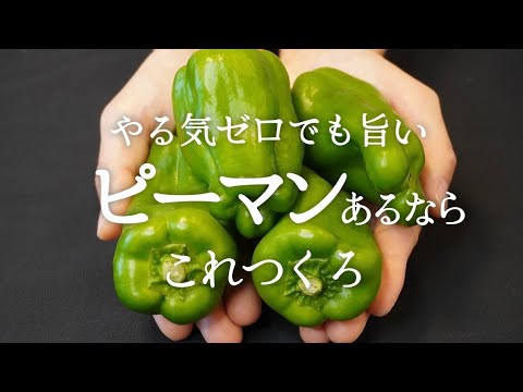 こういうのでいいんだよ。すぐ作れてごはんがすすむ。ピーマンと豚肉の即席スパイス炒め