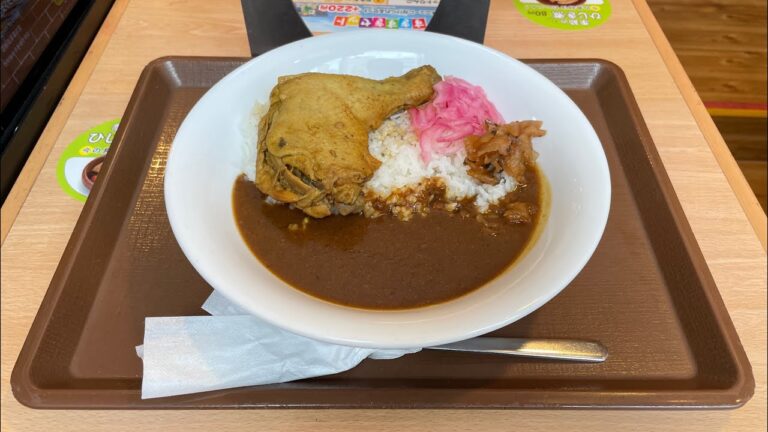 すき家の新メニュー「ほろほろチキンカレー」を注文したら、大きな骨付きチキンがのっていました