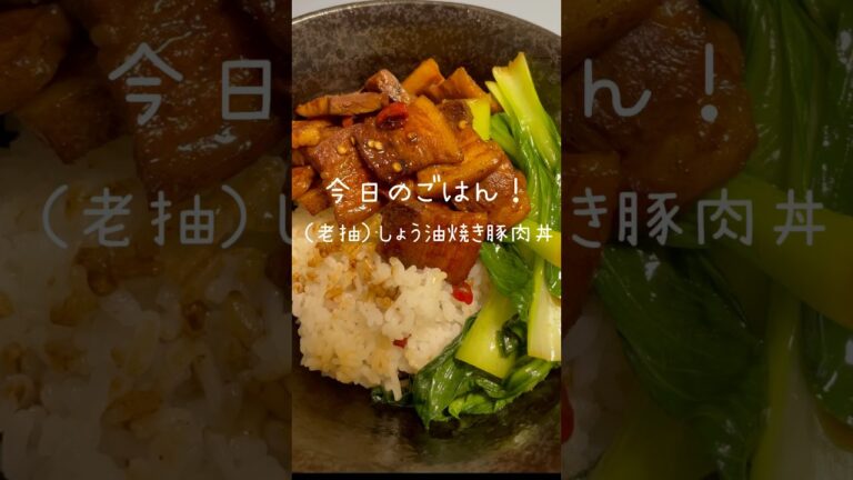 【豚肉ブロック活用】うま味たっぷりのしょう油焼き豚肉丼レシピ！#豚肉料理  #どんぶりレシピ #アジア料理 #自炊記録 #料理vlog #nomnom