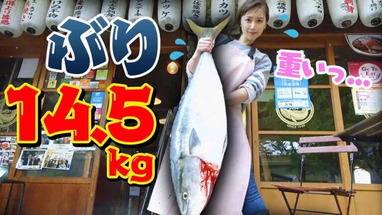 【巨大】市場でも珍しい14.5kgのブリ！魚屋が教える！臭みなし！味しみしみ！絶対おいしくできるぶり大根の作り方〜gigantic Japanese yellowtail〜