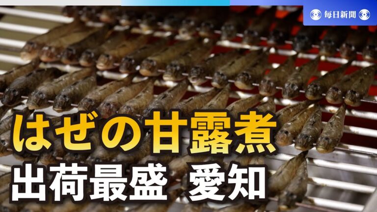 長寿を祈り伝統を守る　正月の縁起物「はぜの甘露煮」作り　愛知