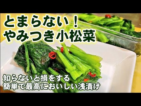 バズってます！簡単で野沢菜より旨い！小松菜の浅漬け/作り置きレシピ常備菜/副菜/保存食/漬物/簡単節約 小松菜大量消費レシピ