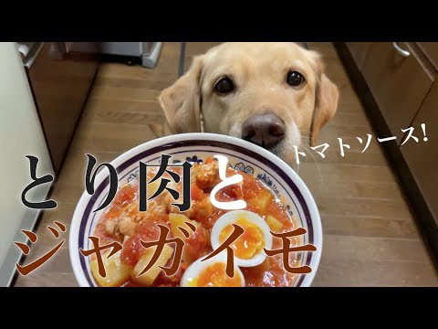 シンプル「鶏肉とジャガイモトマト煮込み」|犬の手作りごはん