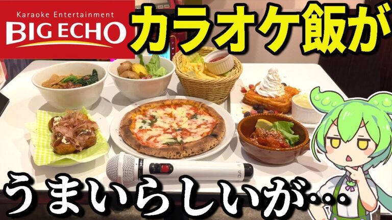 カラオケビッグエコーのフードがおいしいってほんと？ おすすめ8選爆食してみた【ずんだもん＆ゆっくり解説】