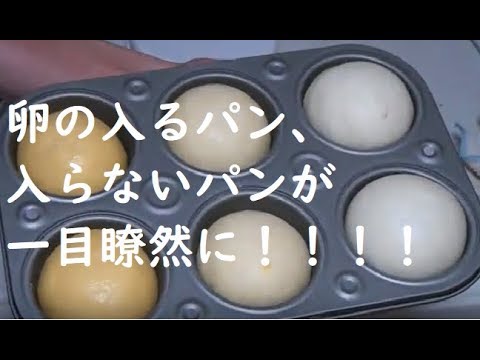 【パン基礎講座】卵の入る生地と入らない生地を焼き比べて分かったこと