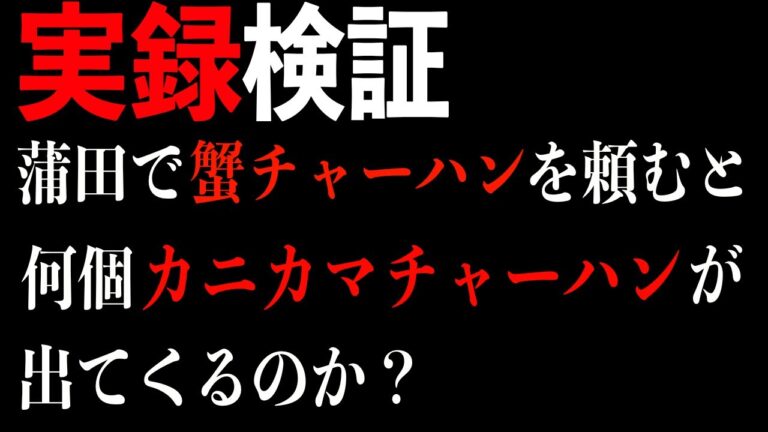 【実録検証】蒲田で蟹チャーハンを頼むと「カニカマチャーハン」が出てくる？【ライス】