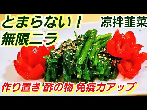 【やみつきニラ】意外と知らない！中華風にらの和え物(凉拌韮菜)作り置き ニラ大量消費 無限ニラ 簡単節約レシピ 酢の物 ヘルシー 中華前菜 常備菜