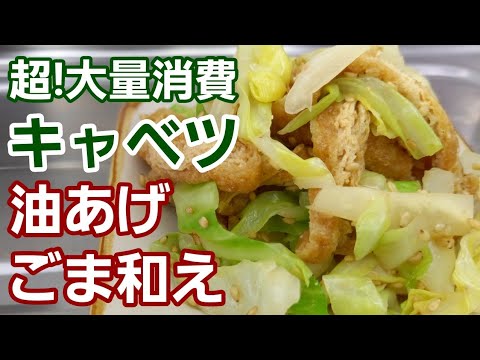 【大量作り置き】キャベツと味しみしみの油あげがマジで旨い！ごま和え