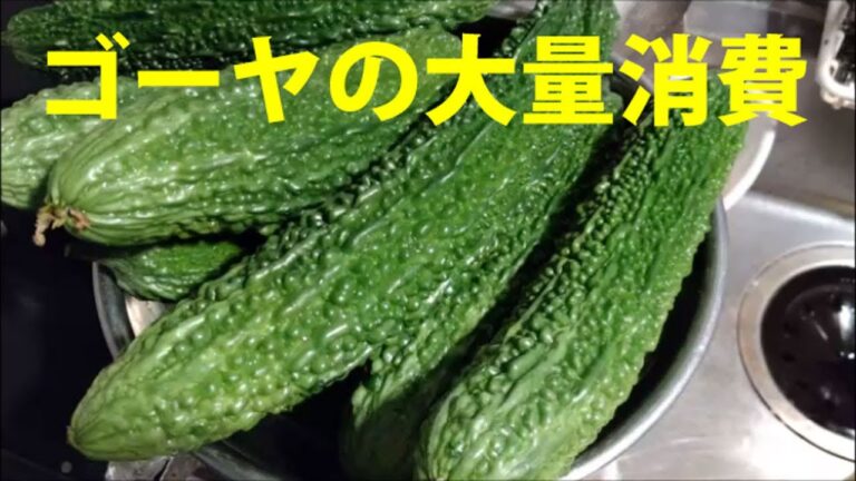 【ゴーヤ大量消費】ゴーヤをたくさん頂いたので佃煮を作ります(*‘∀‘)