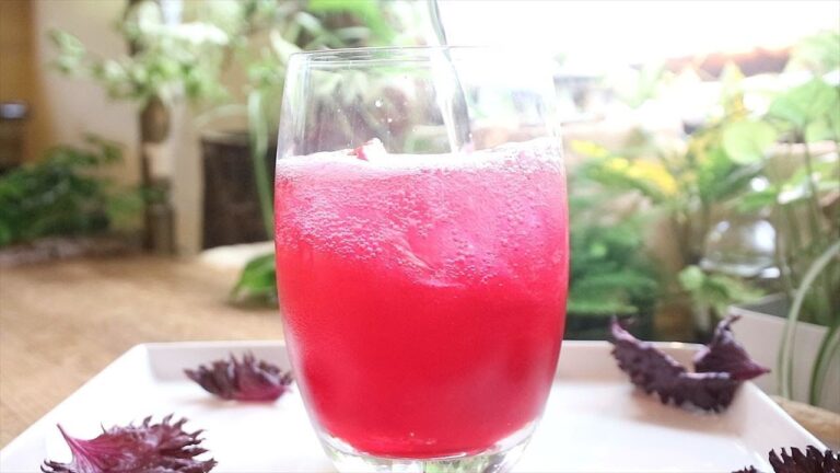 赤しそジュースの作り方・レシピ【赤しそシロップ】 Shiso Juice Recipes｜Coris cooking