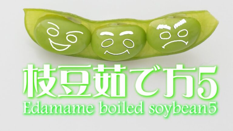 枝豆の茹で方ベスト5! Edamame boiled soybean recipe5!