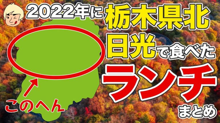 【1000円以下のランチや肉厚ロースカツなど】栃木県北・日光エリアで食べたランチまとめ