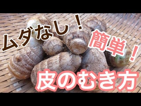 固い！むきにくいを解消！里芋の簡単皮のむき方。#72