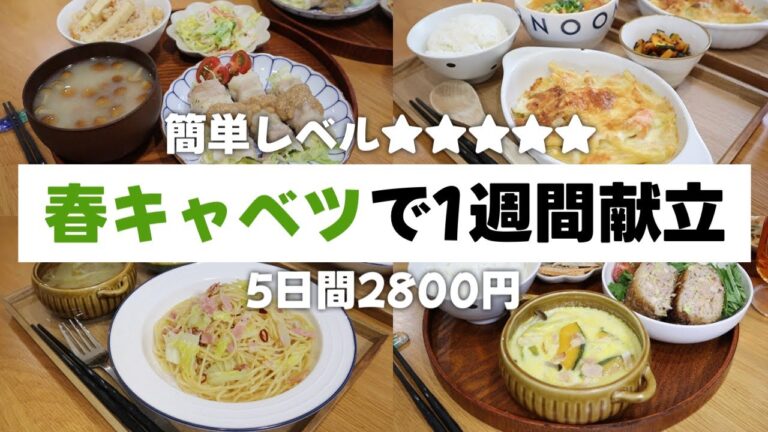 【春キャベツ1.5玉使い切り】春満開！5日間2800円で栄養満点！4人家族の夕飯献立【簡単レシピ/2歳児2人/ワーママ/食費月4万/食費節約術】