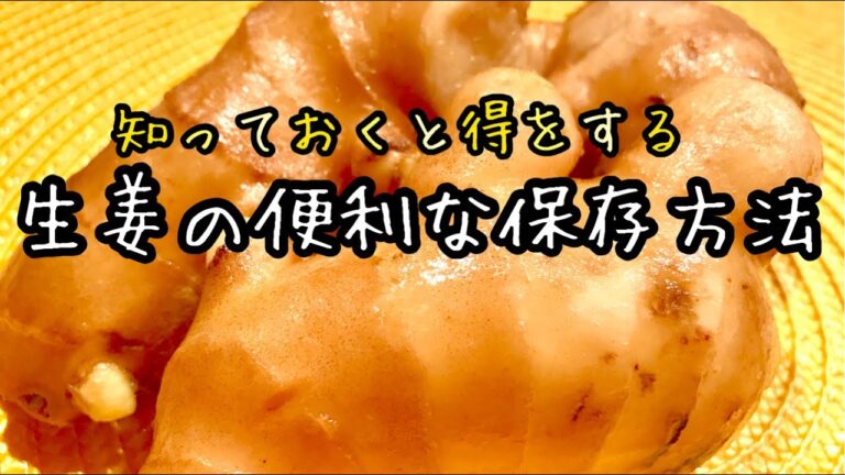 【生姜の保存方法】生姜の冷凍保存、甘酢漬け、生姜オイル、生姜の食べ方など盛り沢山！殺菌力でお弁当にも｜料理教室