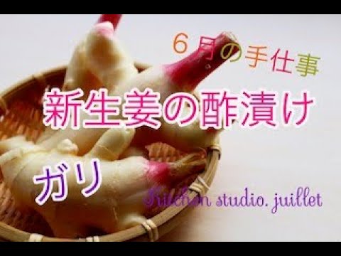 【新生姜の酢漬け（ガリ）の作り方 】 簡単レシピ動画で紹介