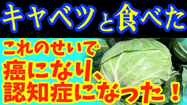 キャベツと一緒に 「これ」 は絶対に食べないで 🥬がん・認知症になってしまう最悪な食べ物と キャベツと食べると滋養強壮剤になる食品5選＆レシピ！【がん・認知症予防、脳健康、栄養効果、健康 情報、料理】