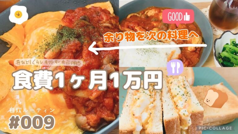 【#009 自炊ルーティン・食費公開】鶏もも肉としめじのトマト煮｜小松菜のナムル｜オムライス｜食費1万円で作る簡単ごはん【一人暮らし/フリーター/在宅勤務】