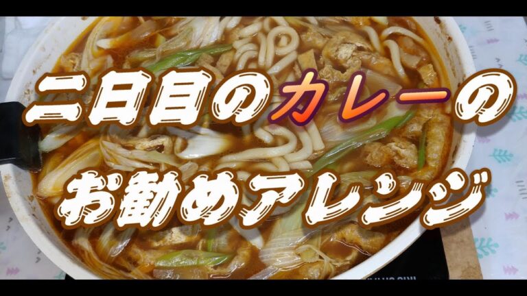 二日目のカレーのお勧めアレンジ！刻んだ長ねぎ油揚げが奇跡を起こす！