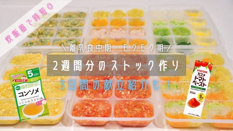 【離乳食中期】炊飯器で時短！2週間分のストック作り＆献立紹介/モグモグ期〈生後8ヶ月・2回食〉