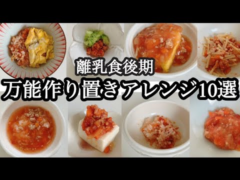 【離乳食後期】万能ストックアレンジ10選！生後9か月からの作り置きミートソースアレンジレシピをご紹介！