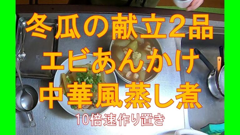 #1098【10倍速タイムラプス家事】作り置き「うま味染み染み！冬瓜のエビあんかけ／冬瓜の中華蒸し煮」