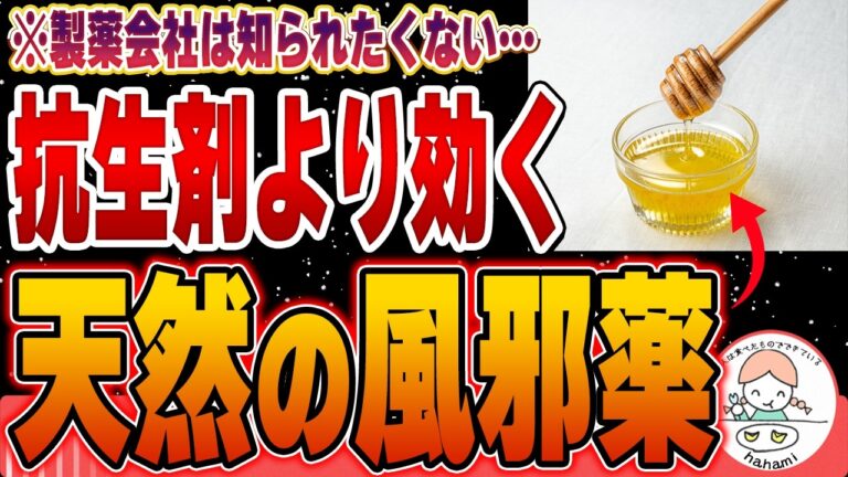 【衝撃】抗生剤や市販薬よりも効くはちみつの驚くべき効果【はちみつ自然療法】