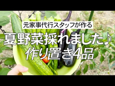 【夏バテ解消】採れたて夏野菜で暑さを乗り切る作り置き4品