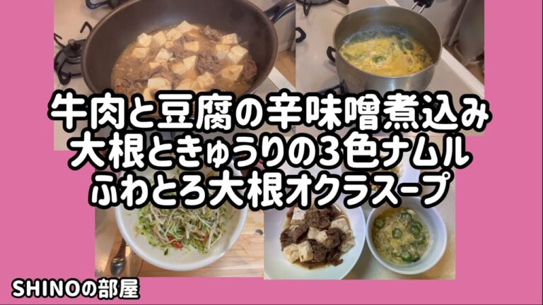 牛肉と豆腐の辛味噌煮込み、大根ときゅうりの3色ナムル、ふわとろ大根オクラスープ