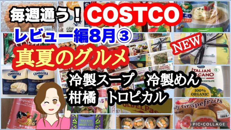 コストコ購入品 ]真夏のグルメ🌞韓国コングクス🍋レモンパネトーネ🥭トロピカルラッシー🍍ヴィシソワーズ🥔など [costco japan]8月③