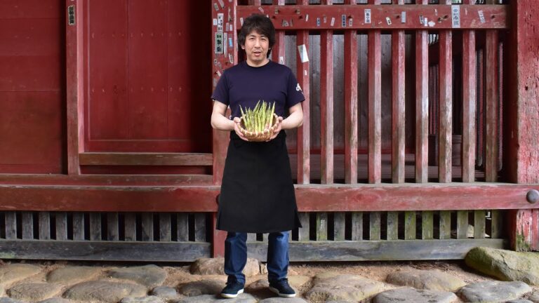 出羽三山のある暮らし【月山筍の天ぷら 羽黒山門前町手打ちそばの店 お食事処いしい c 清彦】