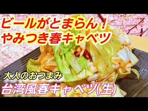 【やみつき春キャベツ】ビールがとまらん！生キャベツのざく切り台湾風  作り置き 常備菜  キャベツ大量消費 無限キャベツ  (醤卷心菜)