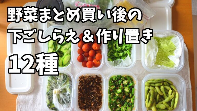 まとめ買い後の下ごしらえ＆夏野菜の作り置き／12品！