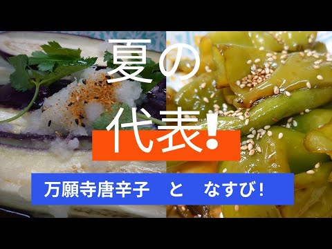 万願寺唐辛子甘辛煮　ナスのチン料理