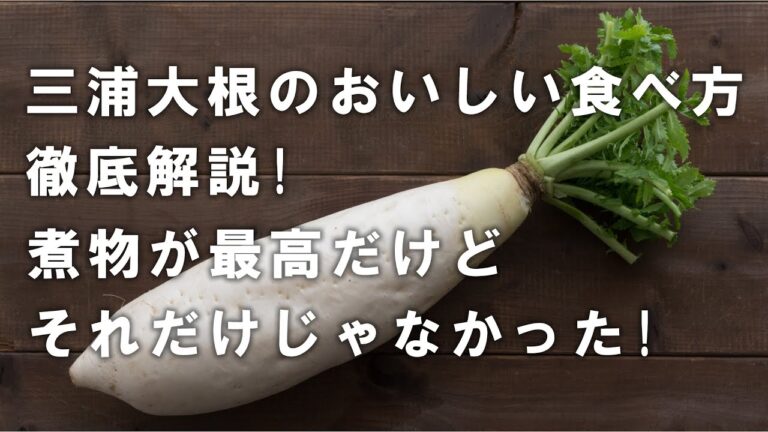 【三浦大根のおいしい食べ方を徹底解説】三浦大根は煮物がおいしいだけじゃなかった! サクサクでフルーティー! なのにとろけるおいしさ! そしてツーンと突き抜ける辛さが最高!