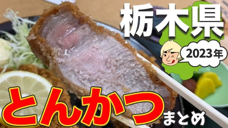 【肉厚🐖】栃木県で食べたとんかつまとめ(2023年)【栃木グルメ】