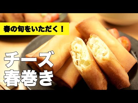 春キャベツたっぷり！【チーズ春巻き】の簡単レシピ