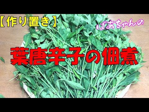 【作り置き】葉唐辛子の佃煮『ご飯のお供に　おにぎりの具にメッチャ旨い！！』