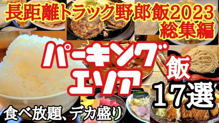 【パーキングエリア飯】長距離トラック野郎が食った全国のPA飯.SA飯.ハイウェイオアシス飯17選、食べ放題、デカ盛り系【2023年総集編】【Japanese truck driver meals】