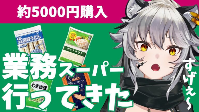 【業務スーパー】5000円握りしめていっぱい買ってきた！！レポ【白虎あきね/Vtuber】