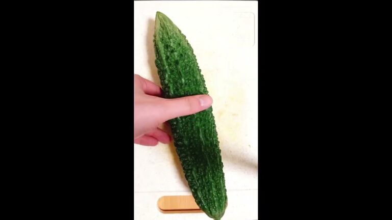 【簡単】夏しか食べれない10分ゴーヤチャンプルの作り方