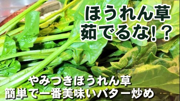 下茹でしない。ほうれん草のバター炒めの作り方 定番家庭料理  ほうれんそうバターソテー