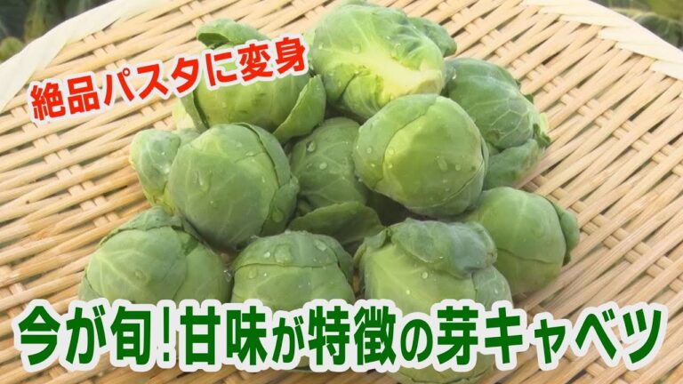 甘みを極限まで生かした“芽キャベツ”パスタは必見！