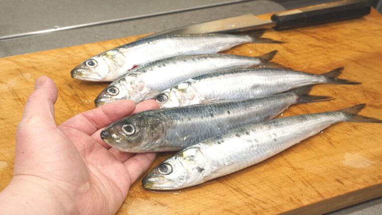 イワシのさばき方とたたきの作り方-How to filet sardine and make sashimi(tataki)-