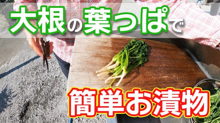 【お漬物】大根の葉っぱを使った簡単レシピ♪初心者の私でも簡単にできて、すぐに食べれるおいしいおつけもの。