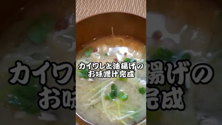 【本日のお味噌汁】カイワレと厚揚げのお味噌‼️#04