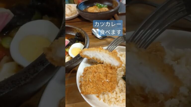 🍛たっぷり野菜のスープカレーをカツカレーで注文(^o^)←食べ方に戸惑う贅(;´д｀)