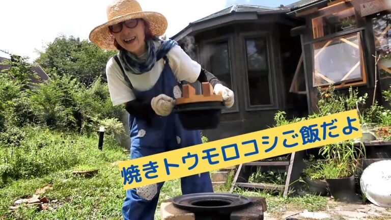 原村高原朝市でとれたてトウモロコシ買ってきた｜一人で楽しむかまどご飯